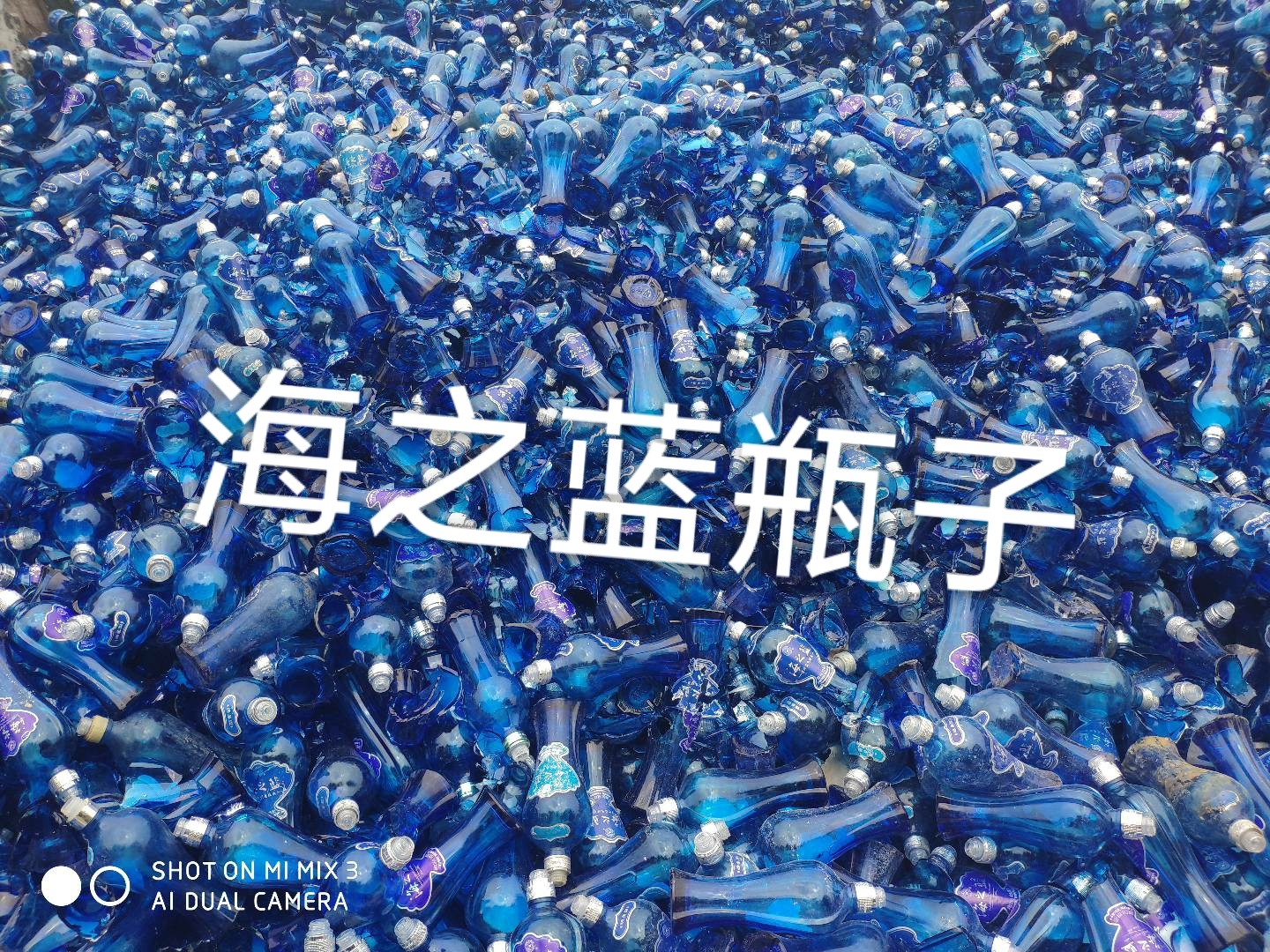 张家港海之蓝瓶回收