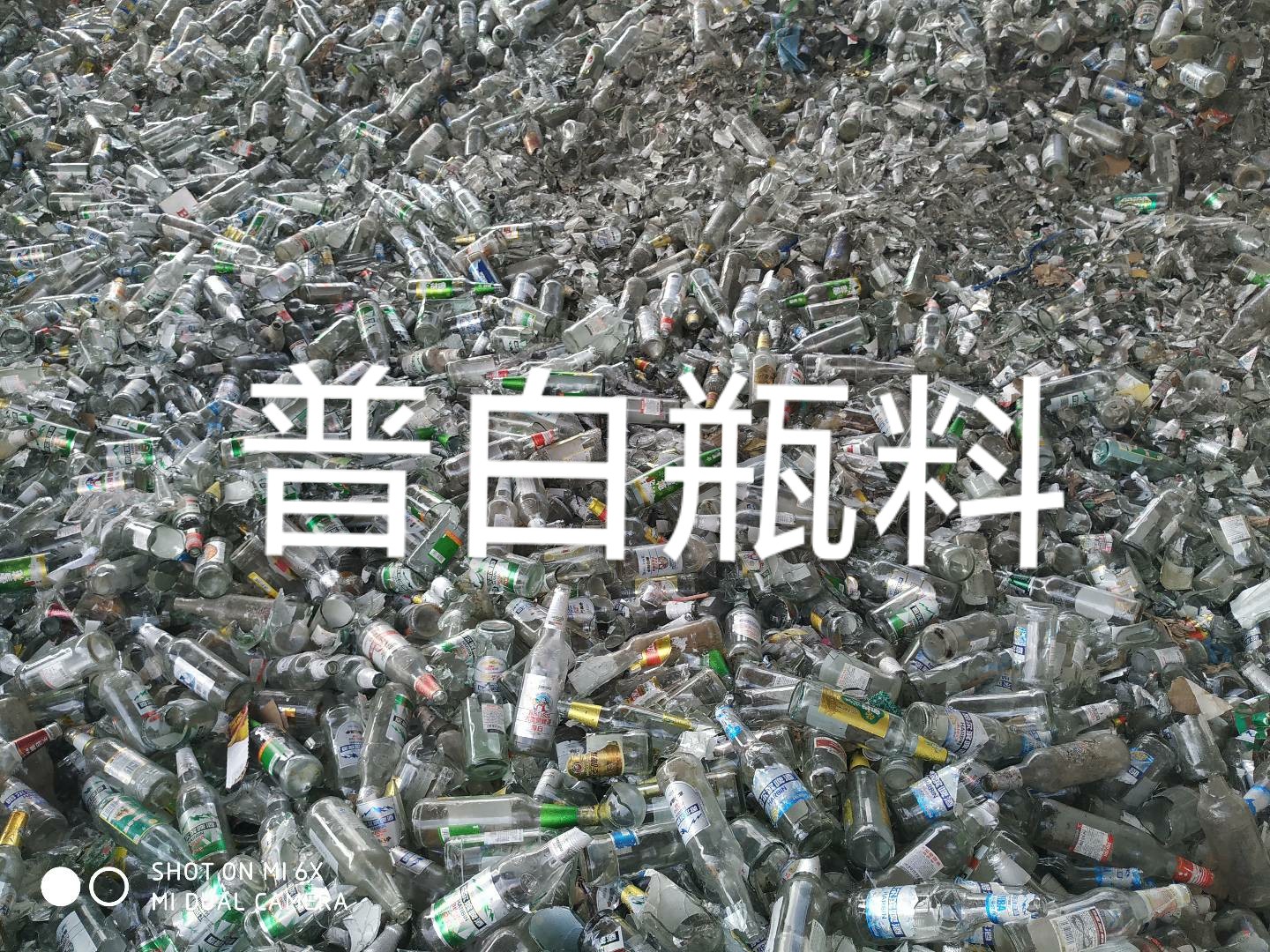 张家港普白瓶料回收